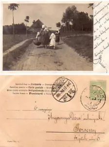 RPhC, Frauen on Road, Ungarn, 1905 - Bild 1 von 1