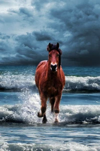Horse Running On The Sea Domesticated Animal Painting Print Wall - POSTER 20x30 - Picture 1 of 3