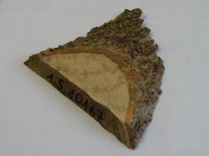 Esche,Drechselholz,Schnitzholz,Brett,drechseln,basteln,ca.6x13,5x2,2cm,10167 - Bild 1 von 3