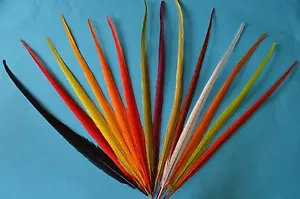 Cock  Centre Pheasant Tails  Colour Extracted (Bleached) and Dyed - Picture 1 of 14