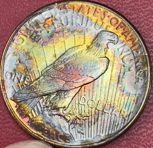 RAINBOW TONING! 1925 PEACE DOLLAR - Picture 1 of 2