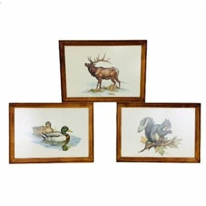 VTG 60's Chevrolet by Clark Bronson Animal Wildlife 3 Framed Lithograph Prints - Picture 1 of 12