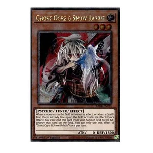 Yu-Gi-Oh! Ogro fantasma y conejo de nieve (secreto de cuarto de siglo raro) - cuarto de siglo - Imagen 1 de 1