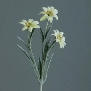 Künstliches Alpen Edelweiß mit 3 Blüten ca. 30cm Cream Kunstblume Alpenblume - Bild 1 von 1