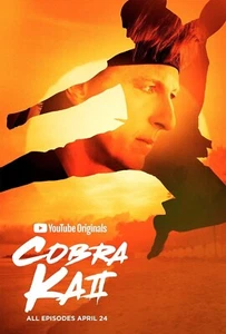 Movie Posters Cobra Kai Karate Kid Wall Art Picture Print Film Wall Poster A4