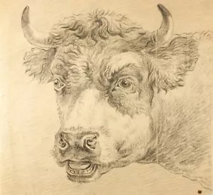 Antico disegno a matita animale originale del XIX secolo, mucche - Picture 1 of 6
