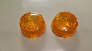 Pair of Bedford CF CF1 Front Plastic Direction Indicators Arrows Gemstones - Picture 1 of 4