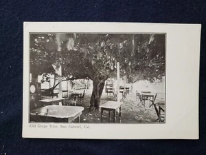 Old Grape Vine San Gabriel California CA Undivided Back Postcard - Picture 1 of 2