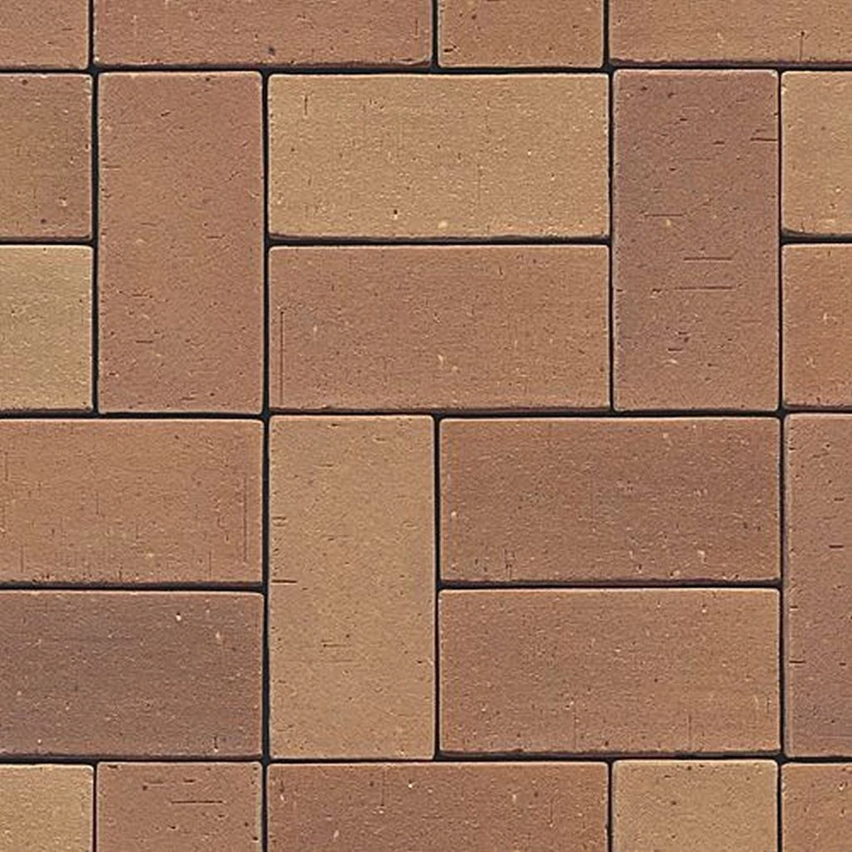 * NEU Pflasterklinker 1.S."AUS TON GEBRANNT" LR Lachsrot  ca. 200x100x40 mm - Bild 1 von 1