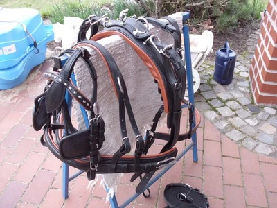 1-spänner Brustblattgeschirr Gr.Mini Mini-Shetty mit Quick Relaise,schwarz/braun - Bild 1 von 4