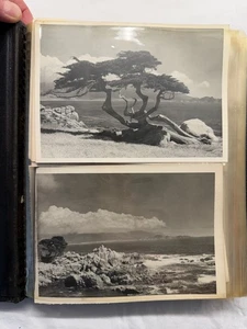 Álbum de fotos paisaje c1940 en blanco y negro Monterey San Francisco Yellowstone Yosemite ++ - Imagen 1 de 18