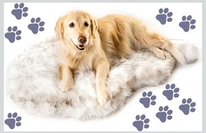 NIB PupRug Ortho Dog Bed Large 50x30x2 Fluffy Soft Faux Fur White W Brown - Picture 1 of 4