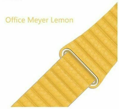 Correa de cuero magnético genuino para Apple iWatch 11 10 9 8 765 4 SE 2 3 Foto 1 de 2