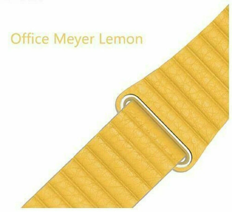 Correa iWatch magnética de cuero genuino para Apple Watch Series 9 8 7 6 5 4 SE Foto 1 de 4