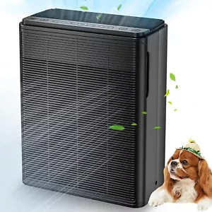 Air Purifier for Home Large Room Up to 2000 sq ft Powerful Pet Dander Smoke - Picture 1 of 9