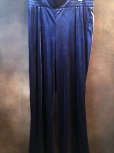IMAN Global Chic L NWT BLUE Velvet Pull On Palazzo Pants Wide leg HR 34/32 - Picture 1 of 16