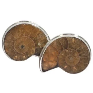 925 Sterling Silver Madagascar Ammonite Fossil Stud Post Earrings, 7/8" - Imagen 1 de 3