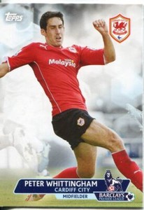 Premier Gold Soccer 13/14 Base Card #12 Peter Whittingham