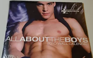 WANDKALENDER 2010 "ALL ABOUT THE BOYS" GAY MALE SEXY *NEU/VERSIEGELT* - Bild 1 von 4