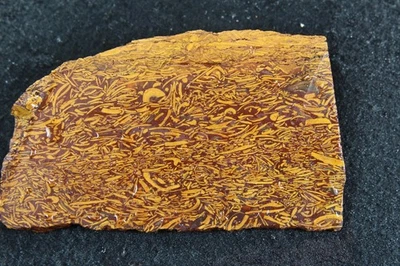 Coquina, piedra de escritura, losa de jaspe caligrafía - 99 gramos - conchas fosilizadas Foto 1 de 4