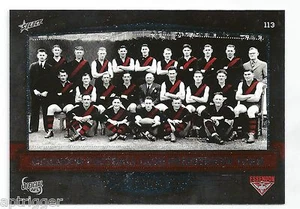 Essendon Premiership Team 1942 (113) - Picture 1 of 1