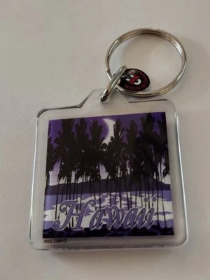 Hawaii Palm Tree Beach Scene Tourist Souvenir Keyring - Image 1 of 4