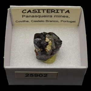 CASITERITA xx (Panasqueira mines, Castelo Branco, Portugal) #25902 / Cassiterite - Imagen 1 de 1