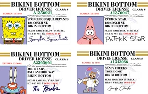 Sponge License | Debit Card Skin | Credit Card Skin | Card sticker (Small Chip) - Picture 1 of 13