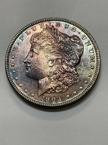1903 P MORGAN SILVER DOLLAR $1 Cover