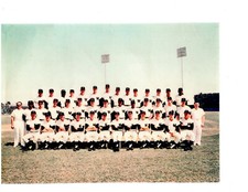 1966 NEW YORK YANKEES TEAM 8X10 PHOTO MANTLE MARIS  BASEBALL HOF  USA