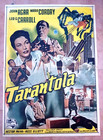 TARANTOLA - SOGGETTONE 1956 FOTOBUSTA SCI-FI MOVIE POSTER TARANTULA