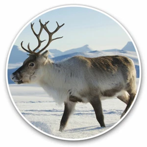 2 x Vinyl Stickers 30cm - Beautiful Reindeer Christmas Deer Cool Gift #14254 - Afbeelding 1 van 9