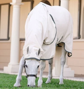 Horseware Rambo Pony Sweet Itch Hoody SweetItch Fly Protect Rug + Mask 4'3"-5'3" - Picture 1 of 11