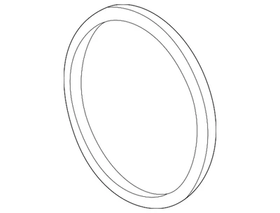 Junta tórica bomba de agua GM 90354908 genuina Foto 1 de 3