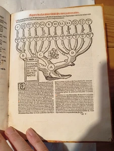 POST INCUNABLE   CLEMENT V CLEMENTINARUM CONSTITUTIONES....F.JOANNEM..1532 - Picture 1 of 9