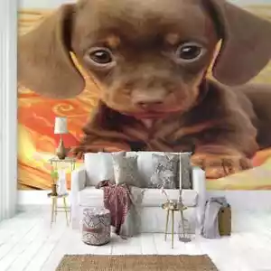 Cute Dog Round Eyes Full Wall Mural Photo Wallpaper Printing 3D Decor Kid Home - Picture 1 of 8