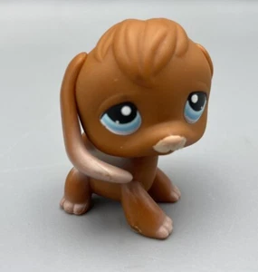 Beagle Dog #233 - Littlest Pet Shop - Hasbro LPS 2004 Blue Eyes Kohl’s Exclusive - Bild 1 von 6