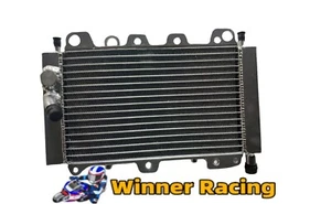 Aluminum radiator for Piaggio Beverly 200 B200 2002-2004 - Picture 1 of 7