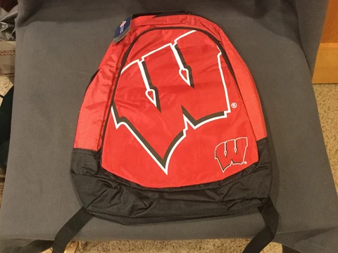 NEW FOCO NCAA Unisex Core Structured Backpack WISCONSIN BADGERS Cover
