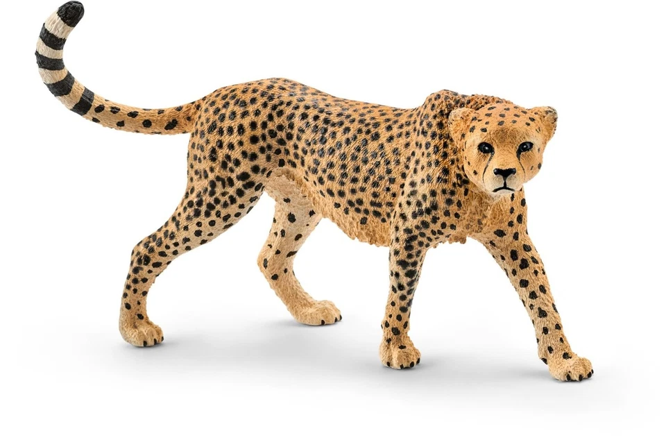 SCHLEICH, chita feminina, , SHL14746 - Imagem 1 de 1