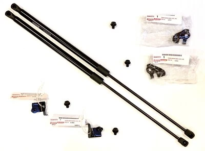 2018- 2024 Toyota Camry Hood Strut Lift Kit With OEM Mounting Hardware Brackets - Image 1 of 4