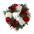 Northlight Red White Peony Amaryllis Floral Grapevine Christmas Wreath 24"