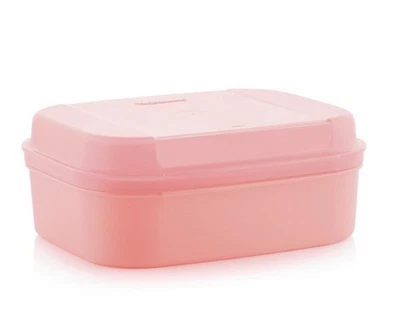 Tupperware Naschkätzchen mittel 1,4 l / 1,7 l Behälter Box Bellevue lachs rosa - Bild 1 von 2