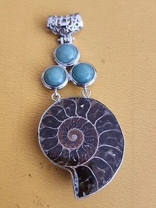 Silver Plate Fossil & Turquoise Large Pendant - Picture 1 of 6