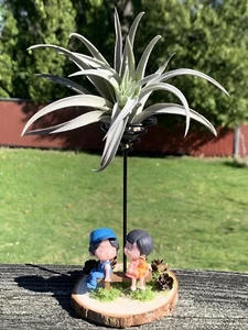 Cute Air Plant Holder /Tillandsia Stand/Indoor Plant - Picture 1 of 4