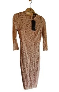 AX Paris Womens Blush Floral Lace Dress Size 4 - Picture 1 of 4