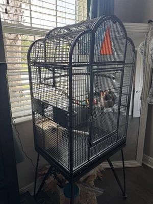 Vendo todo: jaula, pájaros y juguetes! Foto 1 de 4