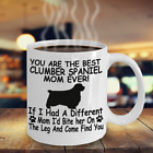 Clumber Spaniel Dog,Clumber Spaniel,Clumber Dog,Clumber Spaniels,Cup,Coffee Mugs