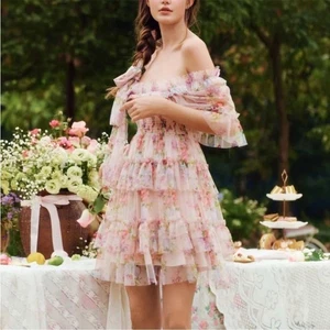 NWT LAIT Collection Beatrice Floral Ruffle Tulle Mini Dress XS Romantic Coqette - Picture 1 of 15