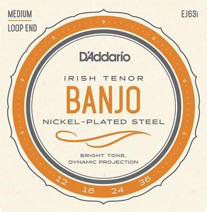 EJ63i Irish Tenor Banjo, Nickel, 12-36 - Picture 1 of 1